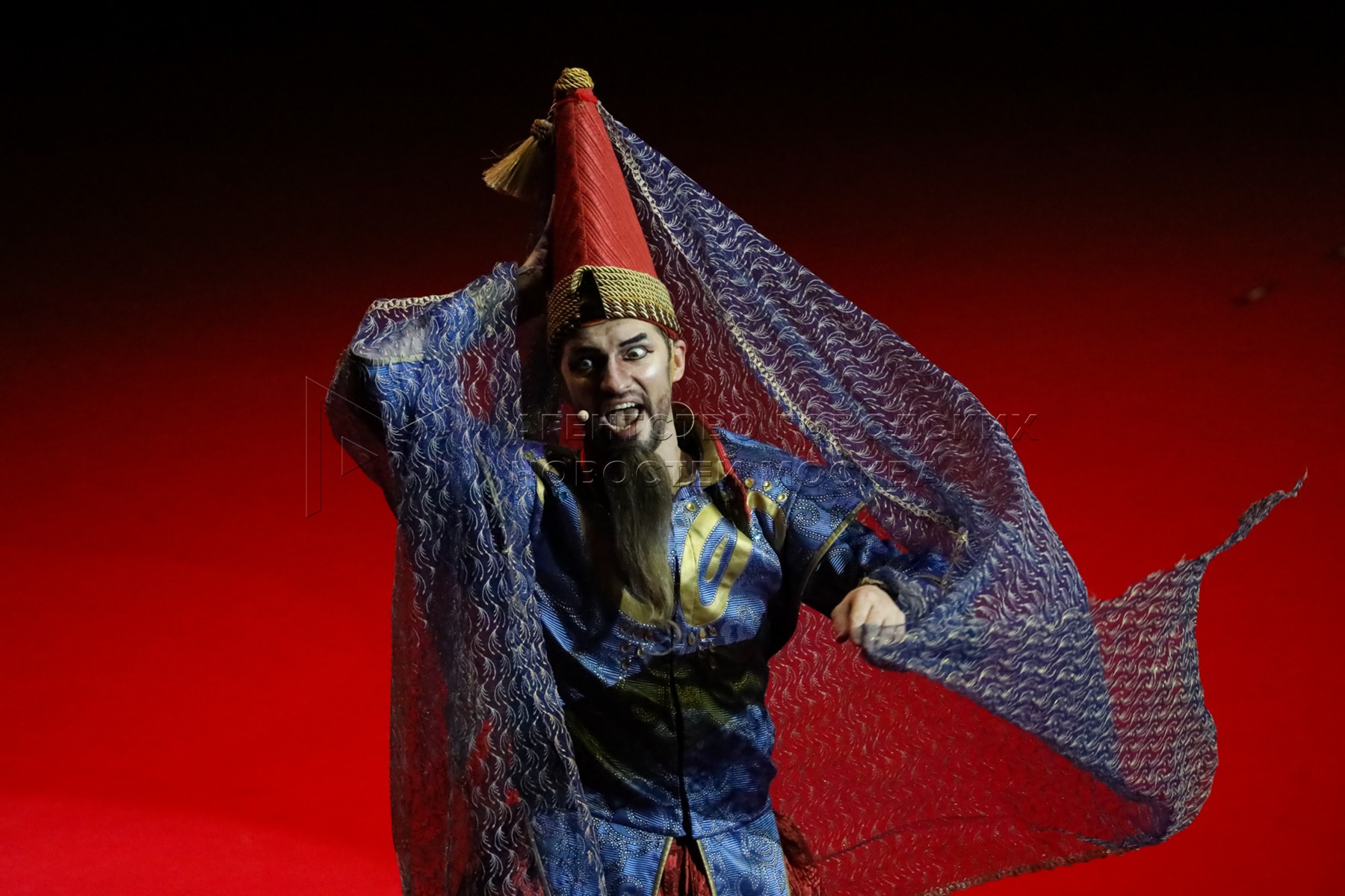 Фото 45 - Новогодний цирковой мюзикл «Волшебная лампа»