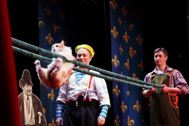 Фото 23 - Театр кошек Куклачева 