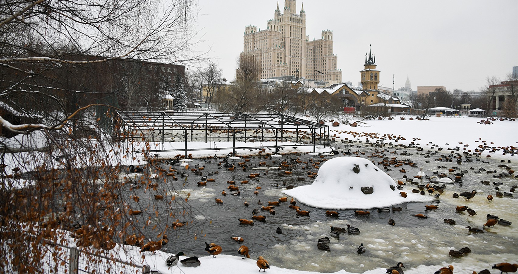 Куда сходить в Москве зимой с детьми: что посмотреть с ребенком зимой